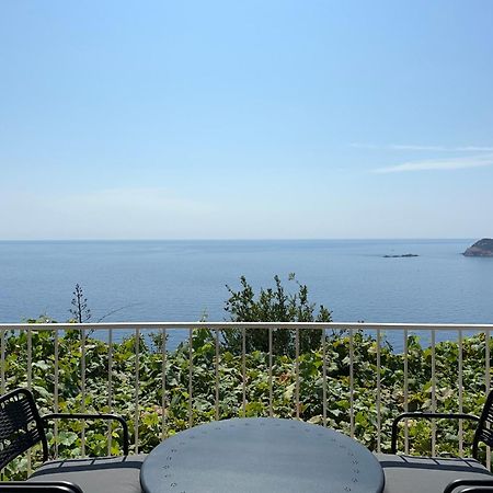 Apartments Blue Horizon Cavtat Extérieur photo